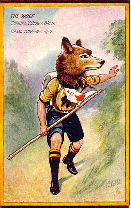 Wolf Scout Card